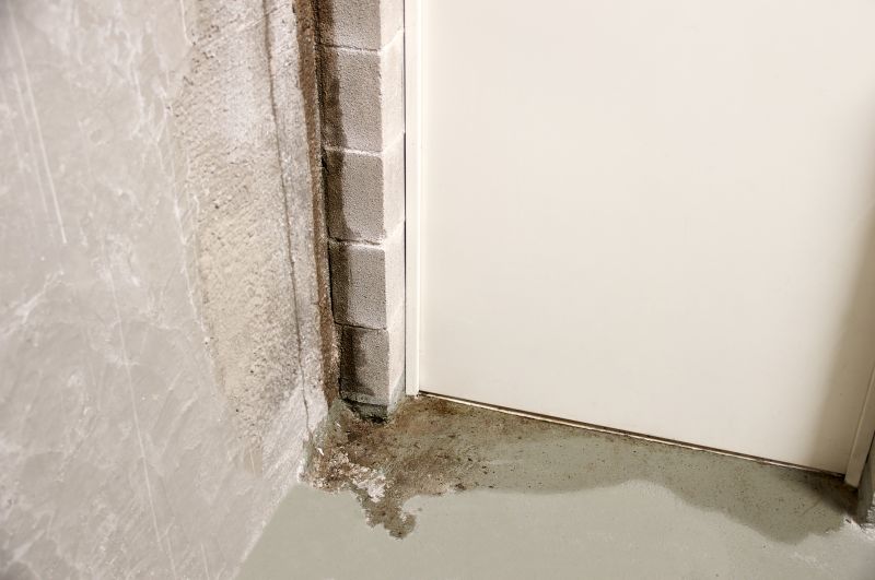 Leaking Basement Repair in Fredericksburg, VA