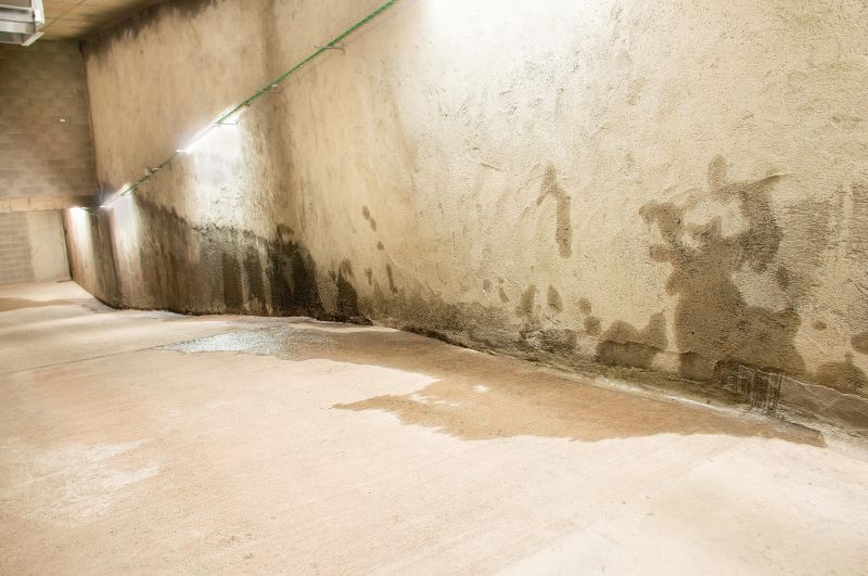 Wet Basement Repair in Fort Myers, FL